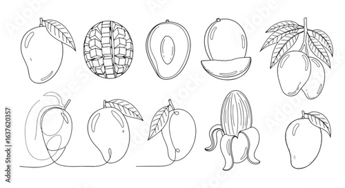 awExplore delicious mango illustrations, perfect for food blogs, restaurant menus, or design projects, showcasing vibrant tropical fruit options