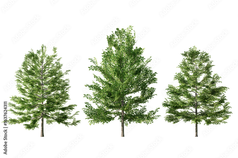 Obraz premium Three trees with different shades of green stand against a white background, representing natural elements for architectural and design projects