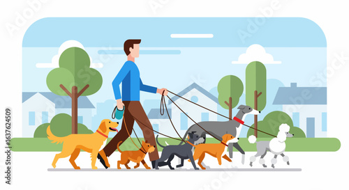 Flat Vector Illustration: Man Walking Six Dogs of Various Breeds on Leashes