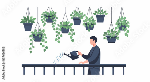 Person Watering Hanging Plants, Creating a Tranquil Indoor Garden Scene