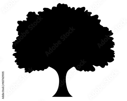 A single tree silhouette with a bushy crown on white background