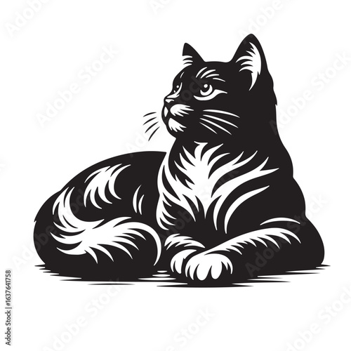Vector silhouette of cat on white backgroud.