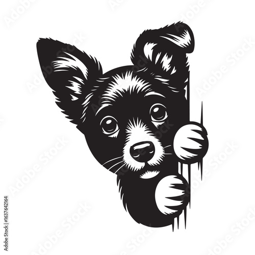 Vector silhouette of  dog on white backgroud.
