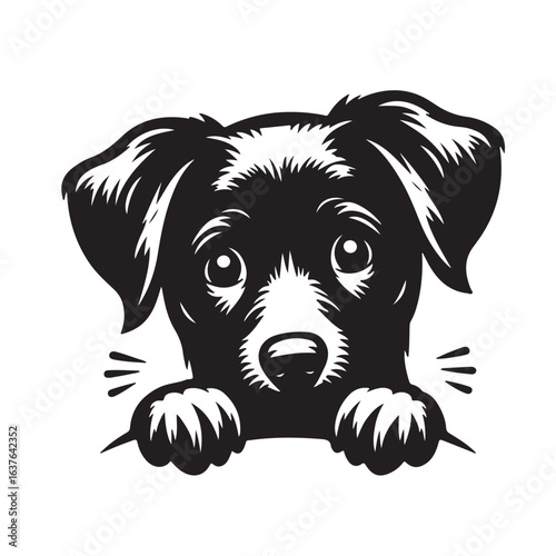 Vector silhouette of  dog on white backgroud.