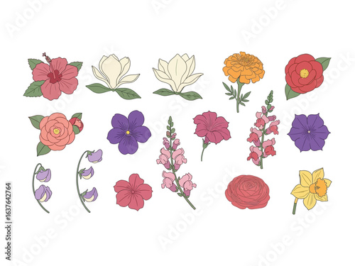 Floral Symphony: A diverse collection of hand-drawn flowers blooms with elegance. Each petal, each stem, and each leaf intricately sketched to evoke a sense of delicate beauty and botanical wonder. 