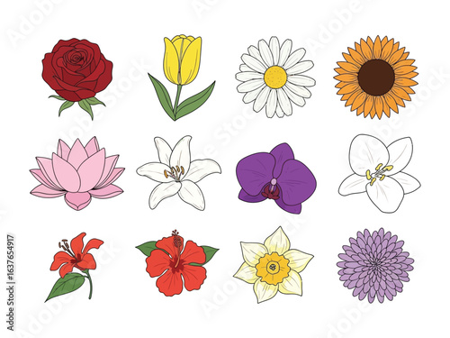 Floral Symphony: A collection of diverse flowers, each in its unique hue and shape, arranged in a visually engaging display of botanical beauty.