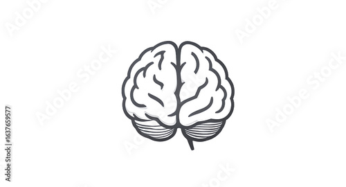 Brain Power Boost Your Cognitive Function Mental Performance