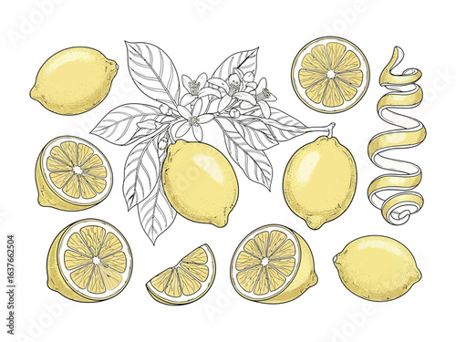 Vibrant Lemon Composition: A delightful array of freshly harvested lemons, artfully arranged, showcasing their bright yellow hue, intricate details, and the zest of culinary possibilities.
