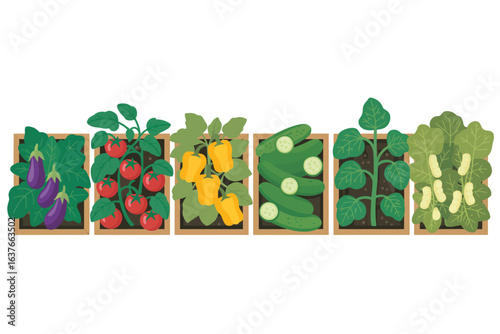 A row of raised garden beds filled with various fresh vegetables and fruits