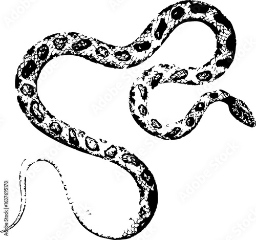 abstract illustration snake silhouette. Illustration of shape as an example of snake design. Diseño abstracto de serpiente en color blanco, negro, verde y guinda. PNG. VEXTOREN. JPG