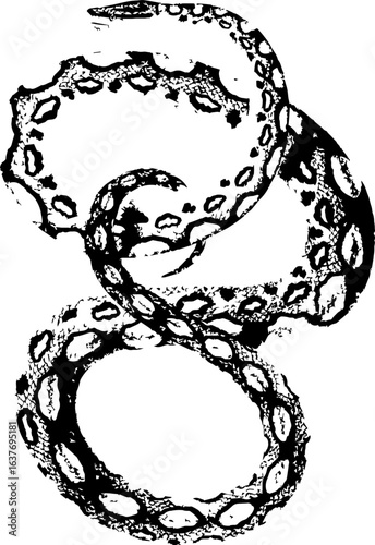 abstract illustration snake silhouette. Illustration of shape as an example of snake design. Diseño abstracto de serpiente en color blanco, negro, verde y guinda. PNG. VEXTOREN. JPG
