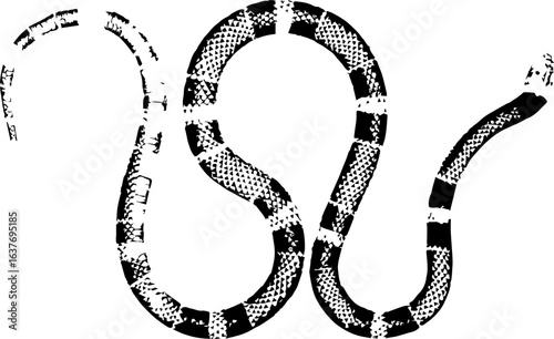 abstract illustration snake silhouette. Illustration of shape as an example of snake design. Diseño abstracto de serpiente en color blanco, negro, verde y guinda. PNG. VEXTOREN. JPG