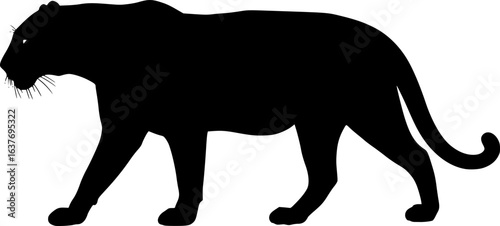 a black panther walking, full body, silhouette, sleek fur, smooth lines, high contrast, elegant pose