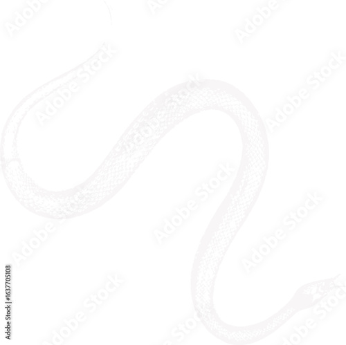 abstract illustration snake silhouette. Illustration of shape as an example of snake design. Diseño abstracto de serpiente en color blanco, negro y guinda. PNG. VEXTOREN. JPG