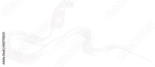 abstract illustration snake silhouette. Illustration of shape as an example of snake design. Diseño abstracto de serpiente en color blanco, negro y guinda. PNG. VEXTOREN. JPG