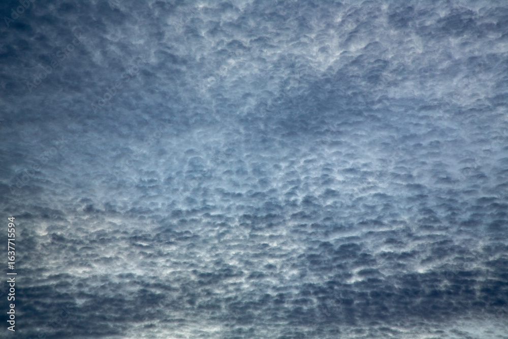 Obraz premium 奄美大島の夏の風景。空。雲。