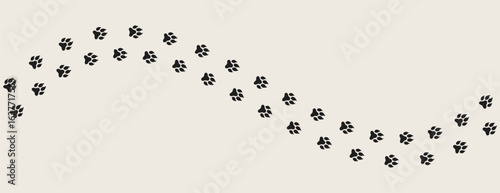 Coyote paw prints vector. Jackal paw prints