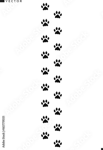 Bengal tiger paw prints vector illustration 