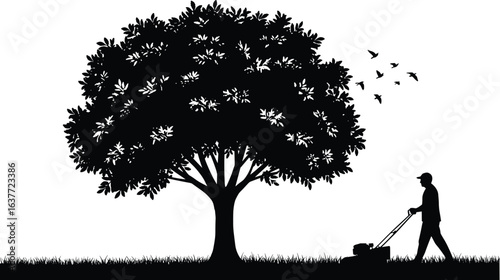 Man mowing lawn under big tree silhouette, grass cutting, gardener work, outdoor landscape, black and white vector illustration design.
