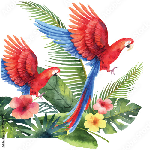 talking parrot, baby parrot, hand-fed parrot, parrot tricks, parrot noises, parrots in captivity, jungle birds, parrot habitat, tropical rainforest, parrot sanctuary, bonded parrots, parrot enrichment
