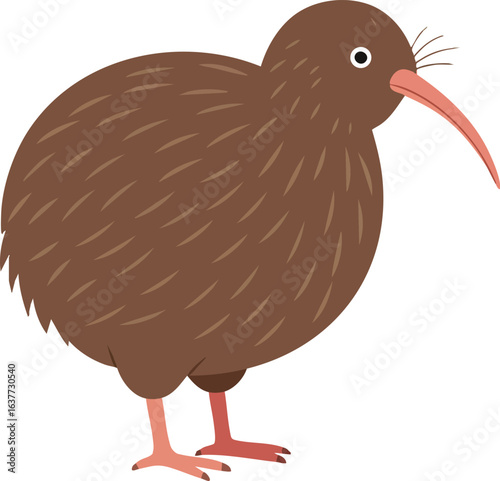 Brown kiwi bird with long beak standing vector illustration in simple style natural wildlife animal design 