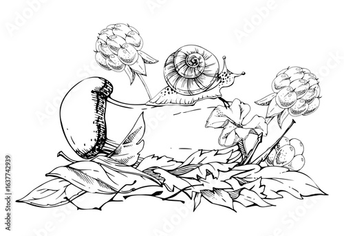 Birch bolete cep leccinum mushroom fungus, cloudberry berries scaber stalk with snail on top of fallen autumn leaves. Forest floor woodland ecosystem habitat. Nature hand drawn vector ink illustration
