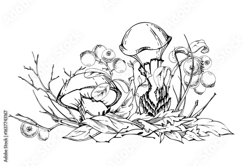 Suillus larch bolete slippery jack mushroom, cranberry lingonberry berries. Fungi on top of fallen autumn leaves with twigs needles. Hand drawn vector ink Illustration. Autumn woodland natural scene.