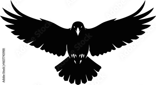 Majestic Crow: Front View Wings Extended Silhouette Vector