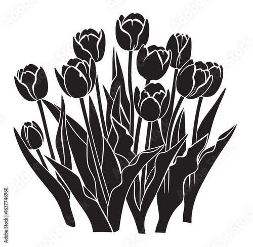 Vector illustration of a black and white tulip flower bouquet in silhouette style