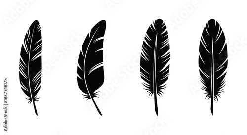 Four detailed black and white feather illustrations on a clean white background