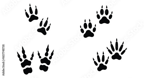 Animal Tracks Silhouettes Raccoon Squirrel and Opossum Footprints on White Background