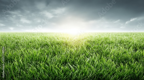 Lush Green Meadow Under Dramatic Sky, Capturing a Serene and Inspiring Landscape Scene