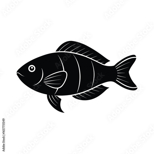 monochrome tilapia vector silhouette with clear f.eps
