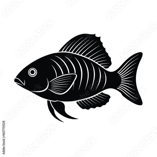 elegant vector silhouette of a tilapia swimming w.eps