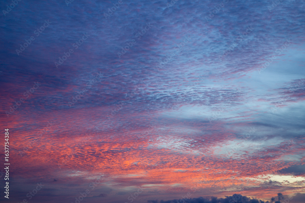 Fototapeta premium 奄美大島の夏の風景。空。雲。
