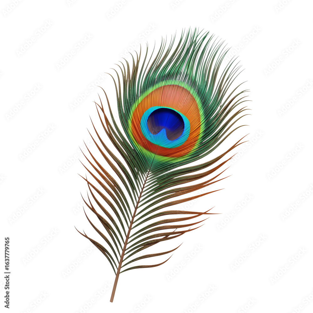 Obraz premium Peacock Feather, isolated on transparent background 