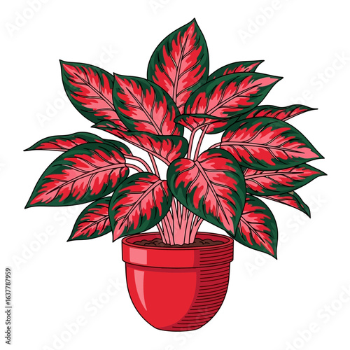 Vibrant decorative houseplant in a red pot