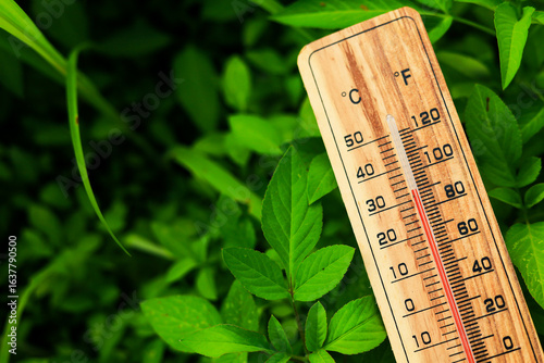 Wooden thermometer a device for measuring air temperature