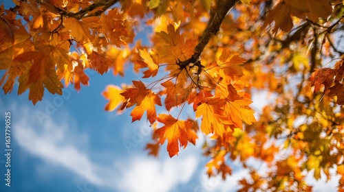 Vibrant Autumn Canopy with Golden Maple Leaves Against a Clear Blue Sky Backdrop