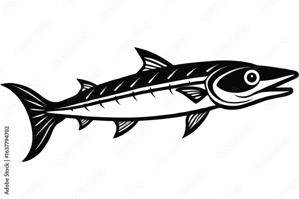 Obraz premium Barracuda detailed in full body is beautifully outlined with white space around it