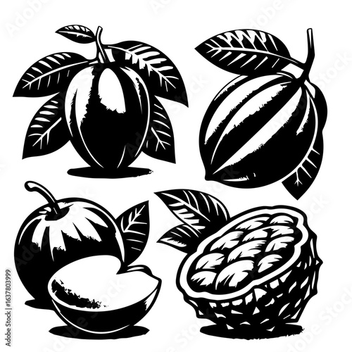 Illustration of various fruits including apple, custard apple, cocoa and plum in black and white style