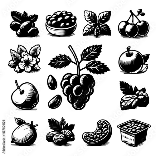 A collection of black and white vector drawings of various fruits, nuts, and seeds in different arrangements