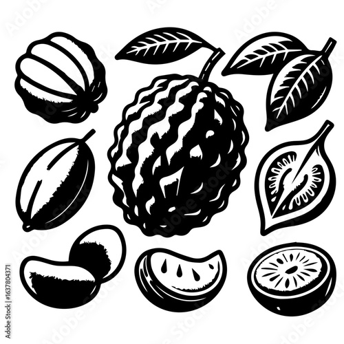 Illustration of various fruits including custard apple and other sliced fruit elements in black and white