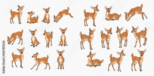 A collection of illustrated spotted fawns in various natural poses like standing, sitting, lying down, and bending.