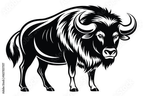 Powerful ox illustration shows its majestic horns and thick fur in bold format