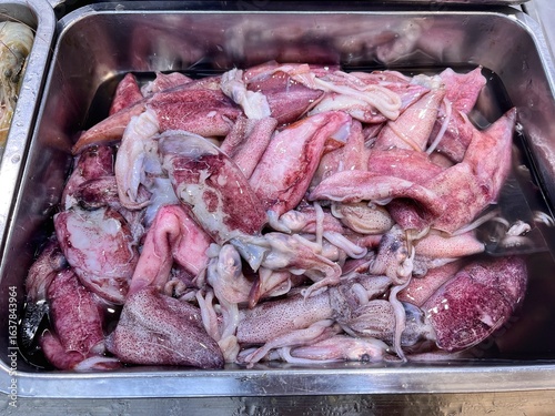 Obraz na plátne Fresh Raw Squid on Display at Seafood Market