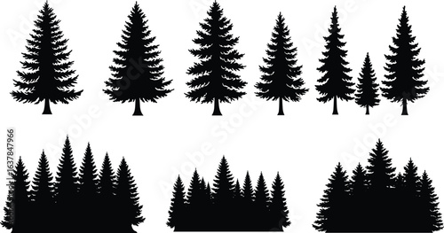 Set of pine tree silhouettes and dense forest groupings, black nature vector design, evergreen trees collection, outdoor scenery, cad drawing flat vector illustration
