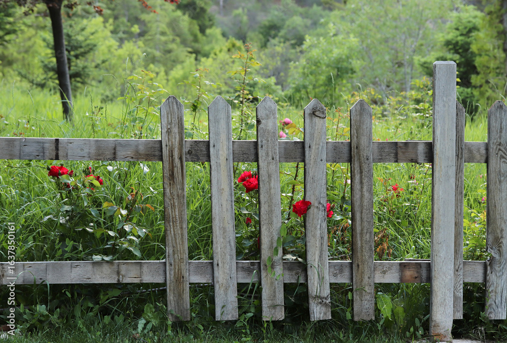 Naklejka premium protective wooden fence for garden