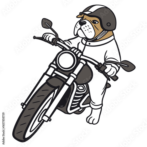 Cool bulldog wearing helmet and white suit riding a grey motorcycle illustration