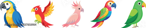 Tropical Parrot and Exotic Bird Vector Set